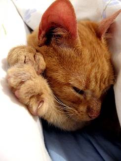 rutina para dormir