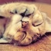 durmiendo